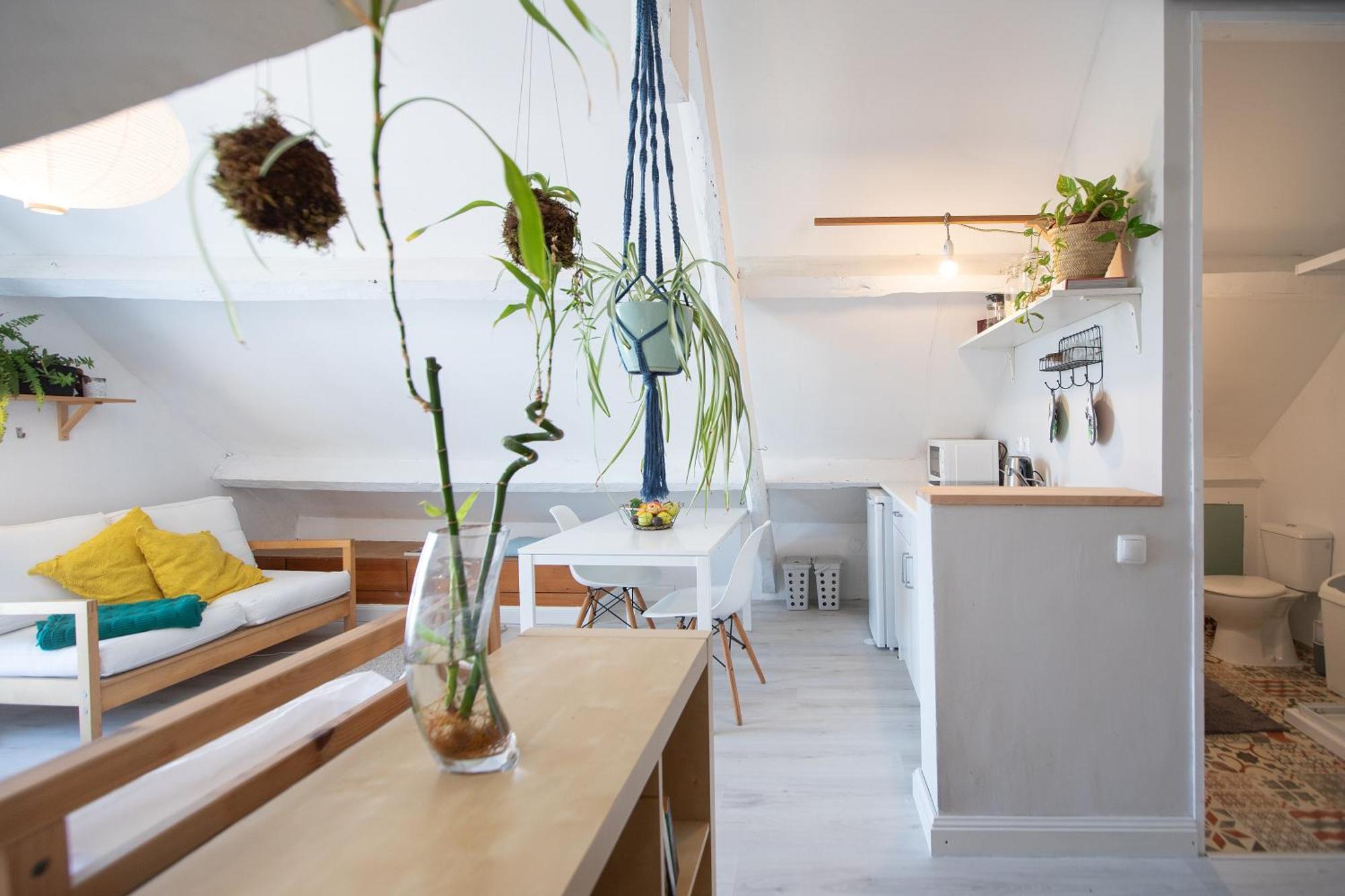 אבאירו Pompeu Art Nouveau Apartment מראה חיצוני תמונה